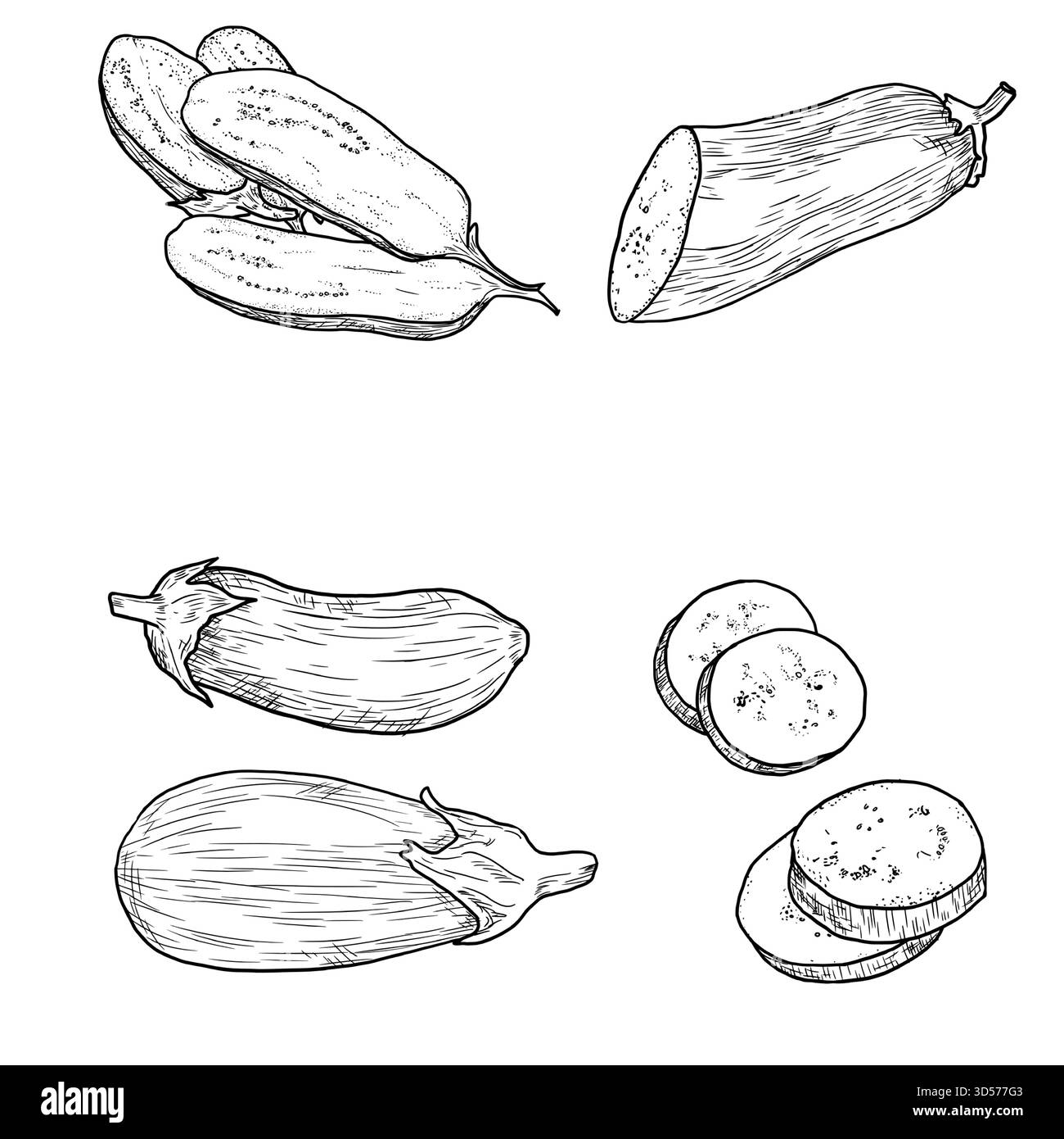 Aubergine ganz und in Scheiben geschnitten, Skizze. Vektorabbildung. Gemüse ist auf weißem Hintergrund isoliert. Zum Einpacken von Papier, Straßenfest, Farmer's mar Stock Vektor