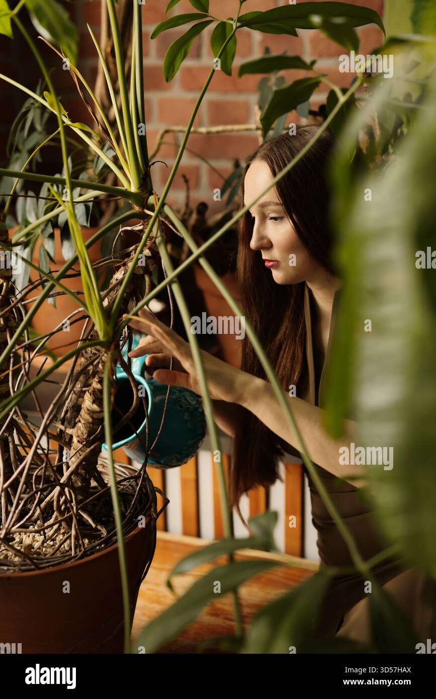 Eine Frau bewässert sorgfältig Pflanzen in einem gemütlichen Innenraum Stockfoto