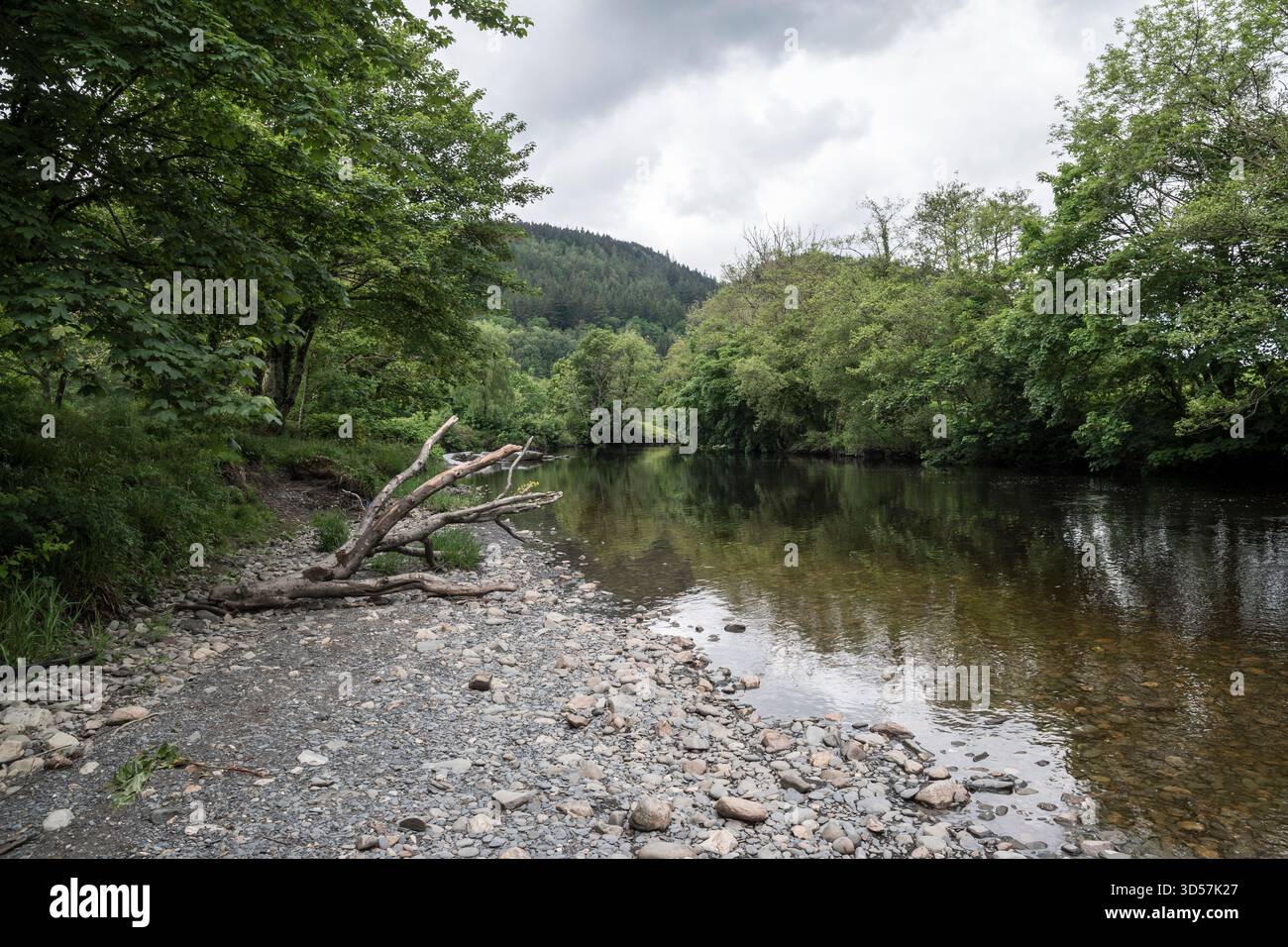 River Conwy bei Betws y Coed in Conwy County Borough North Wales Stockfoto