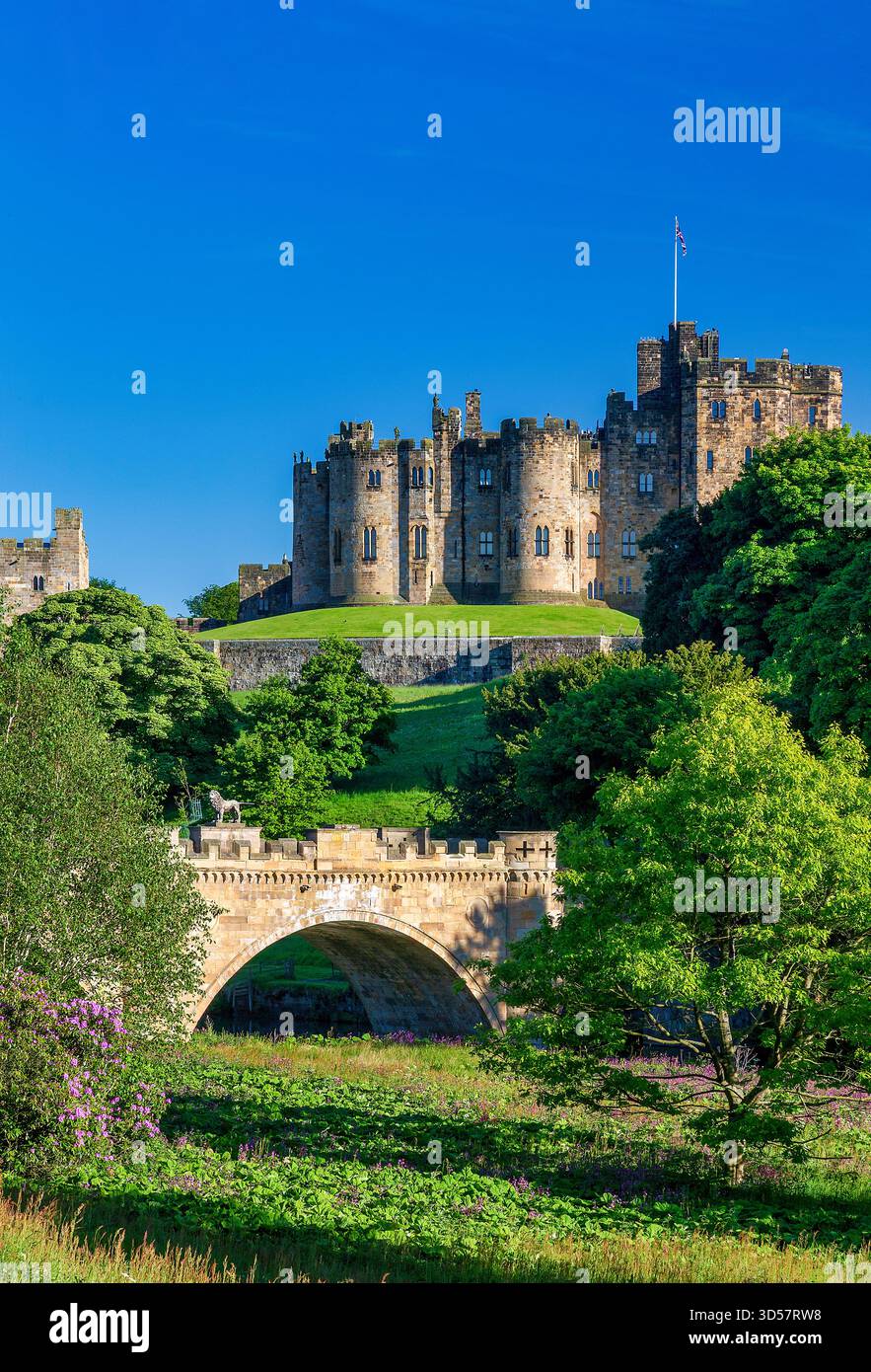 Ein Blick auf die Alnwick Lion Bridge über den Fluss Aln mit Schloss Alnwick im Hintergrund an einem sonnigen Abend im Sommer in northumberland Stockfoto