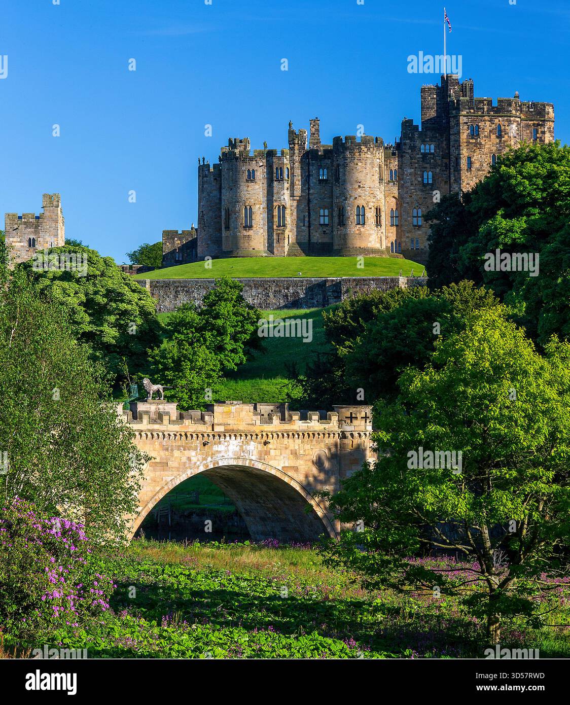 Ein Blick auf die Alnwick Lion Bridge über den Fluss Aln mit Schloss Alnwick im Hintergrund an einem sonnigen Abend im Sommer in northumberland Stockfoto