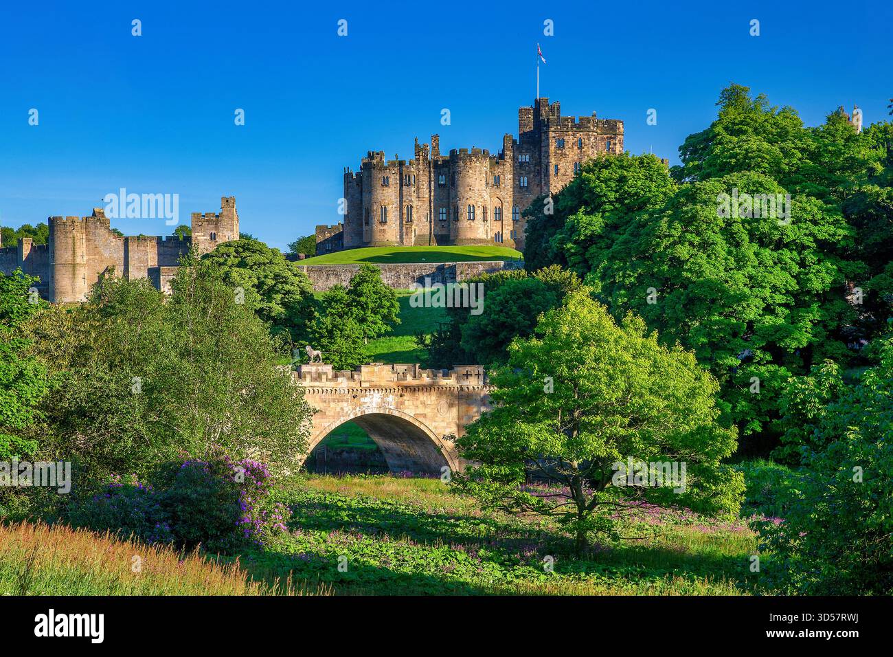 Ein Blick auf die Alnwick Lion Bridge über den Fluss Aln mit Schloss Alnwick im Hintergrund an einem sonnigen Abend im Sommer in northumberland Stockfoto