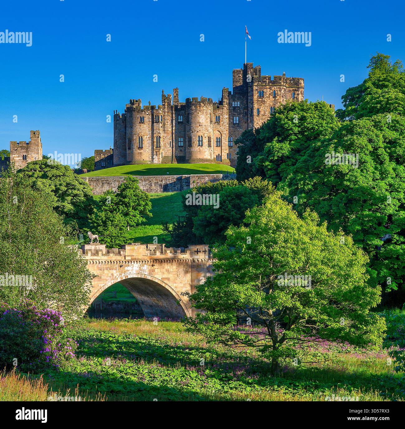 Ein Blick auf die Alnwick Lion Bridge über den Fluss Aln mit Schloss Alnwick im Hintergrund an einem sonnigen Abend im Sommer in northumberland Stockfoto