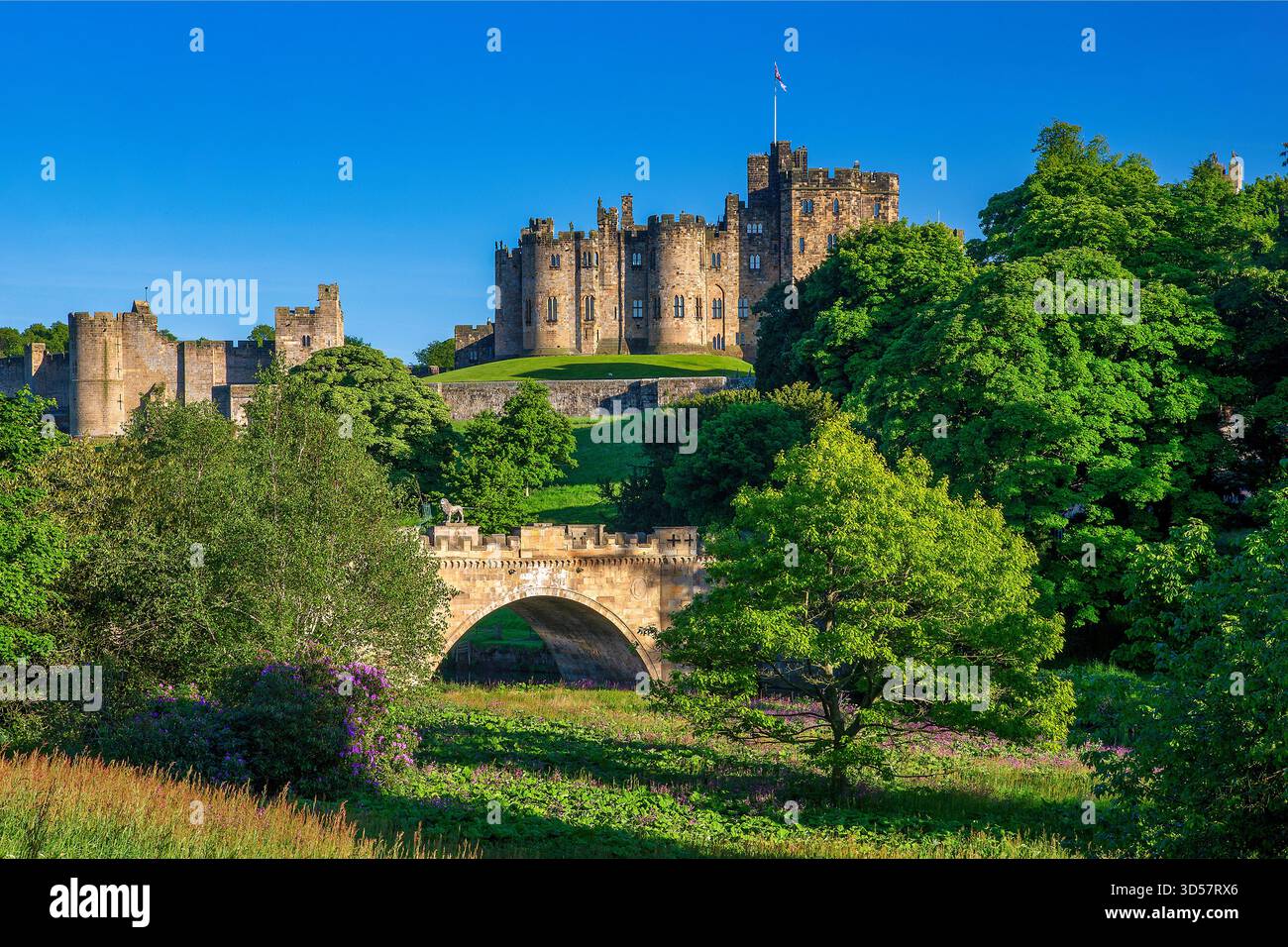Ein Blick auf die Alnwick Lion Bridge über den Fluss Aln mit Schloss Alnwick im Hintergrund an einem sonnigen Abend im Sommer in northumberland Stockfoto