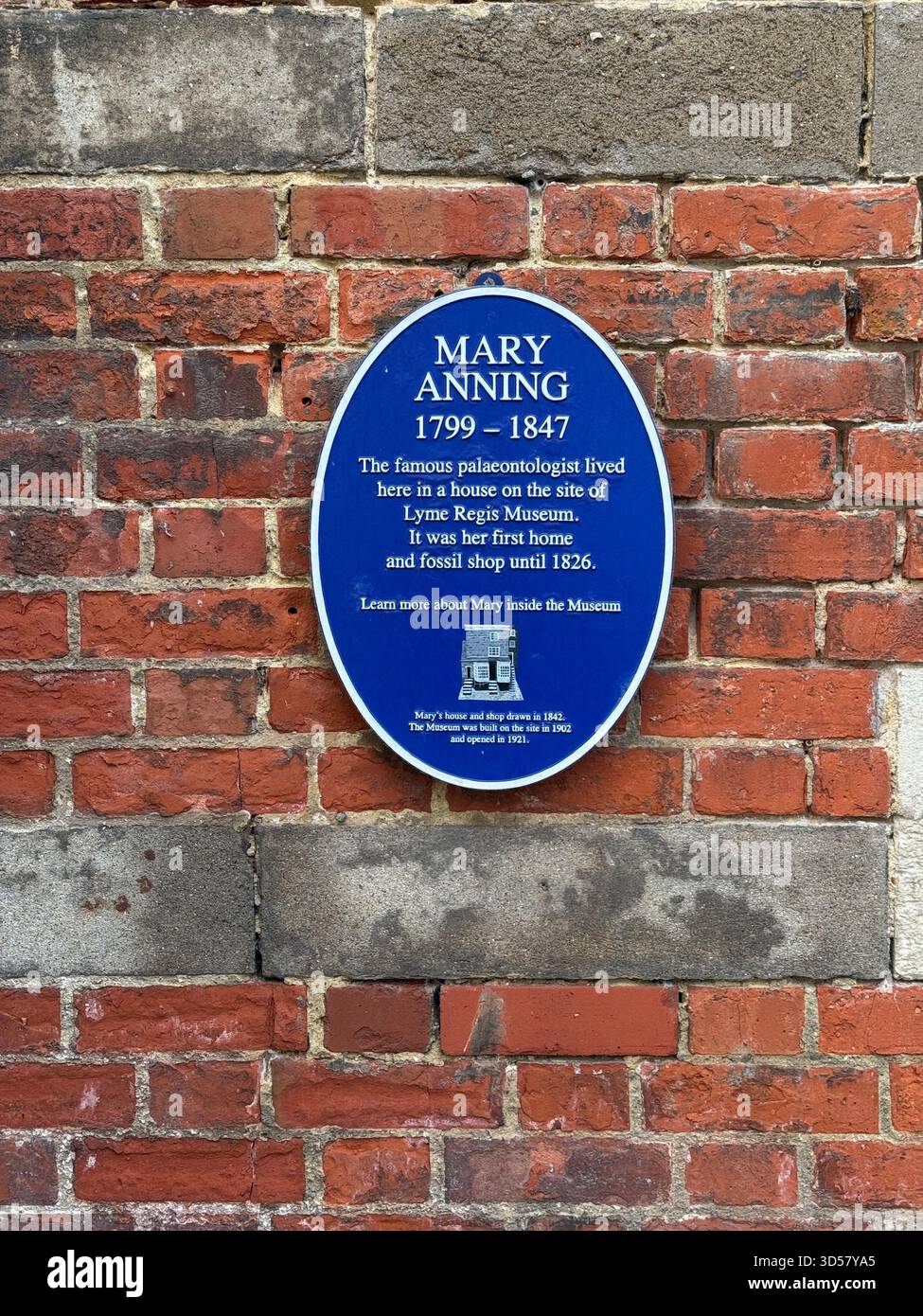 Mary Anning 1799-1847, blaue Plakette vor dem Museum, Lyme Regis, Dorset, England Stockfoto