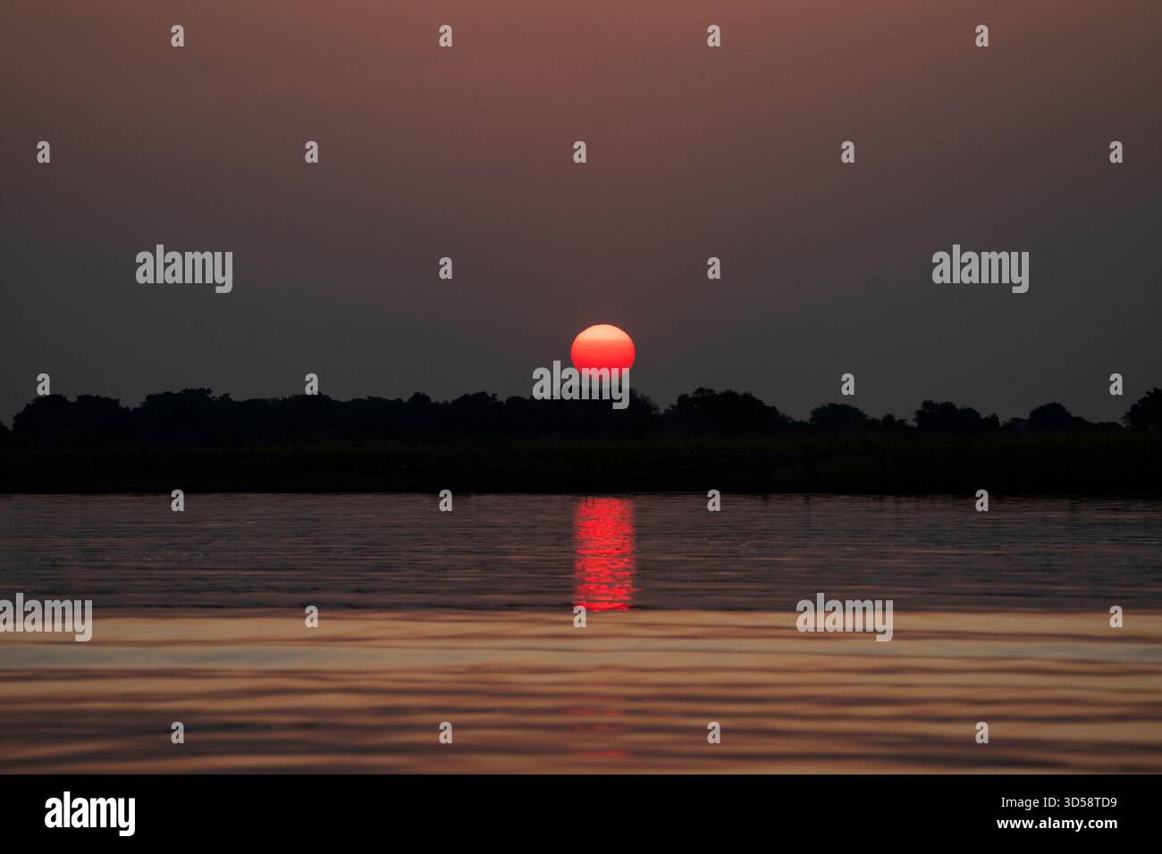 Afrikanischer Sonnenuntergang über dem Chobe River in Botswana. Die Sonne leuchtet in wunderschöner roter Farbe. Kasane, Botswana, Afrika Stockfoto