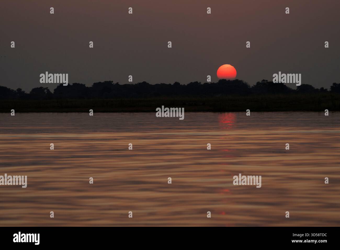 Afrikanischer Sonnenuntergang über dem Chobe River in Botswana. Die Sonne leuchtet in wunderschöner roter Farbe. Kasane, Botswana, Afrika Stockfoto