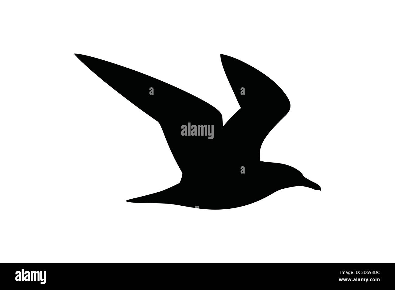 Eine scharf schwarze Silhouette eines Vogels mit weit ausgebreiteten Flügeln, die während des Fluges vor einem sauberen weißen Hintergrund erfasst wurden. Stock Vektor