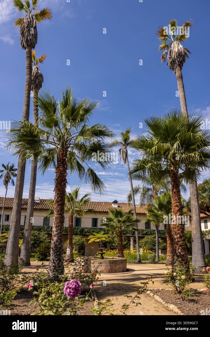 Palmen rund um den Innenhof der Mission Santa Barbara in Santa Barbara, Kalifornien. Stockfoto