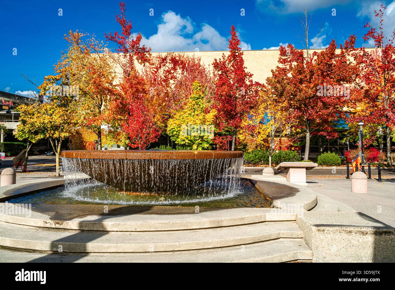 Ein Brunnen im Bellevue City Park im Bundesstaat Washington. Es ist Herbstsaison. Stockfoto