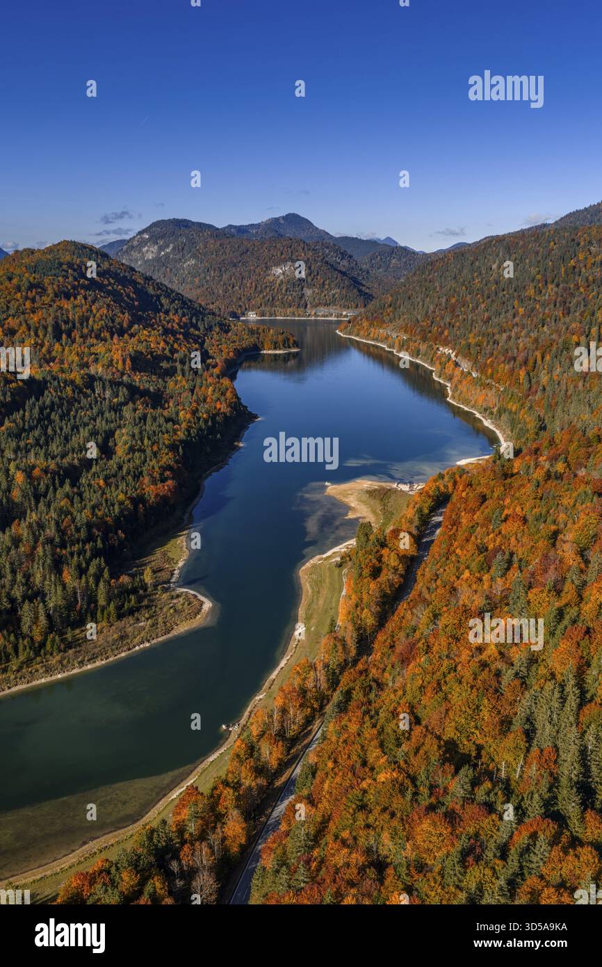 Bergsee, Berge, sonnig, Morgenlicht, Herbst, Herbstfarbe, Wald, Luftansicht, Sylvensteinsee, Oberbayern, Bayern, Deutschland Stockfoto