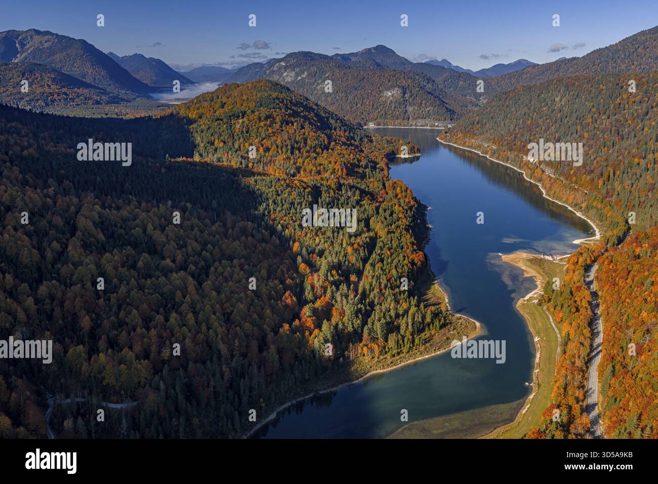 Bergsee, Berge, sonnig, Morgenlicht, Herbst, Herbstfarbe, Wald, Luftansicht, Sylvensteinsee, Oberbayern, Bayern, Deutschland Stockfoto