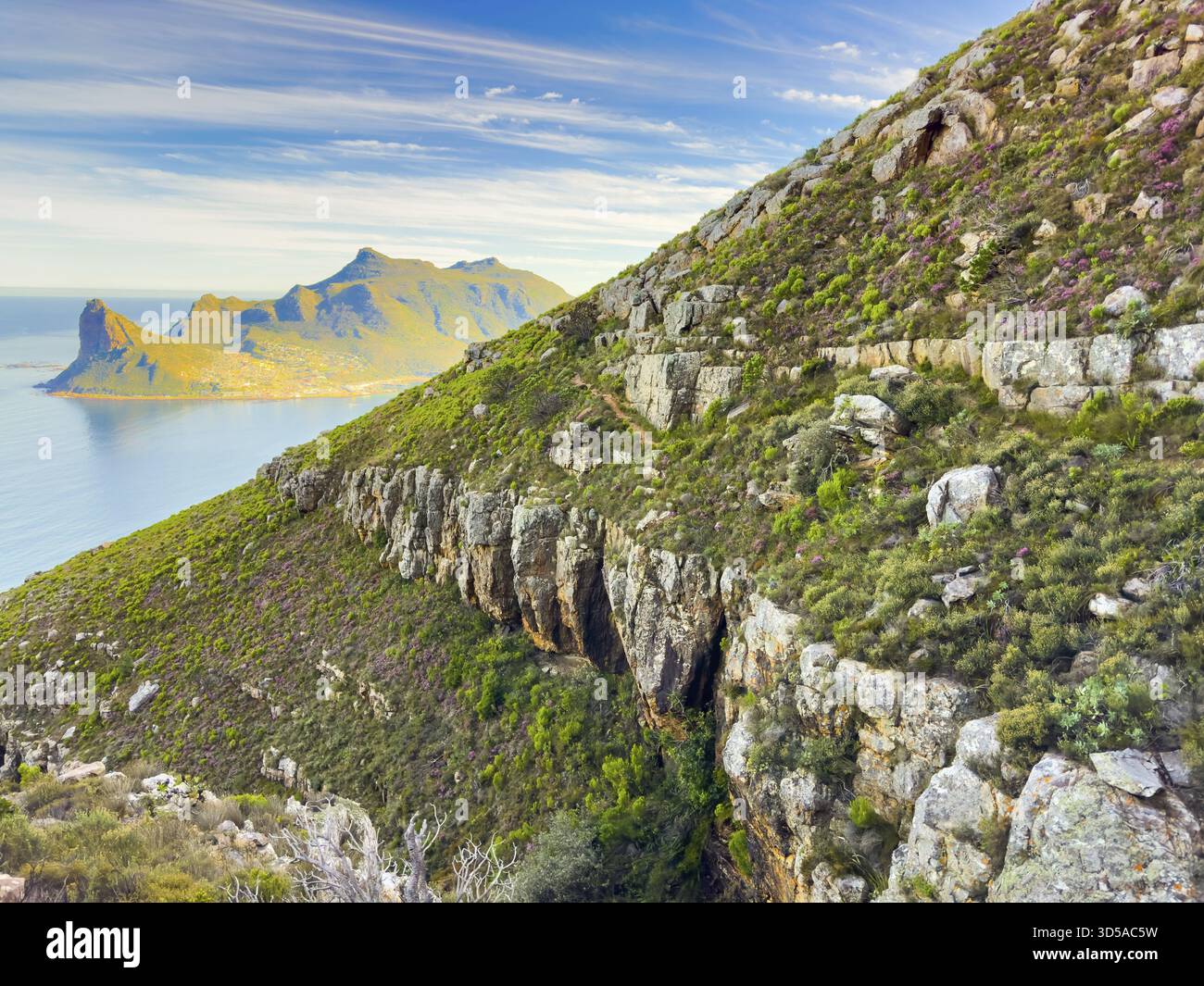 Hout Bay Küstenlandschaft mit Fynbos-Flora in Kapstadt, Südafrika Stockfoto