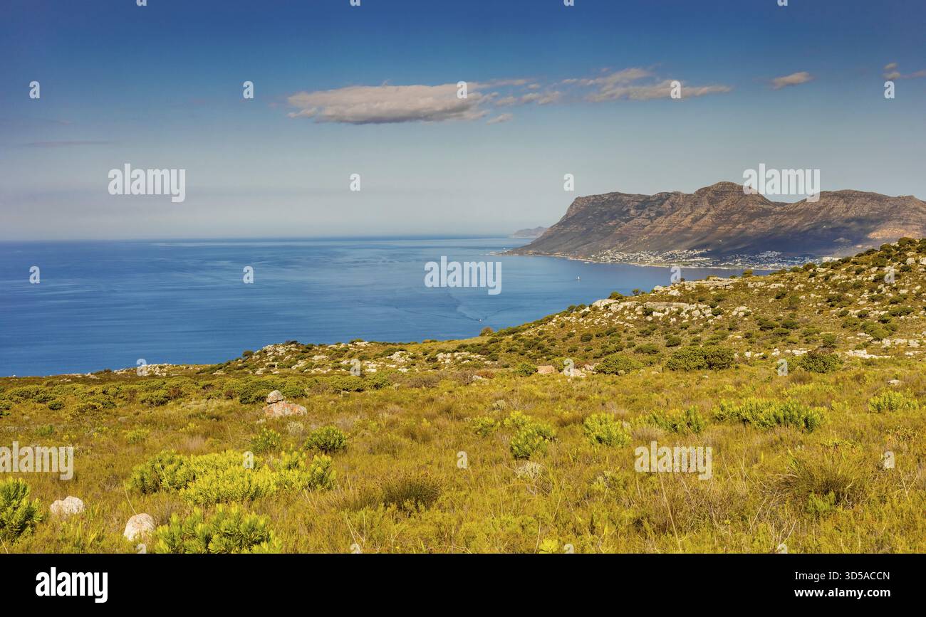 Küstenberglandschaft mit Fynbos Flora in Kapstadt Südafrika, Kapstadt, Südafrika Stockfoto