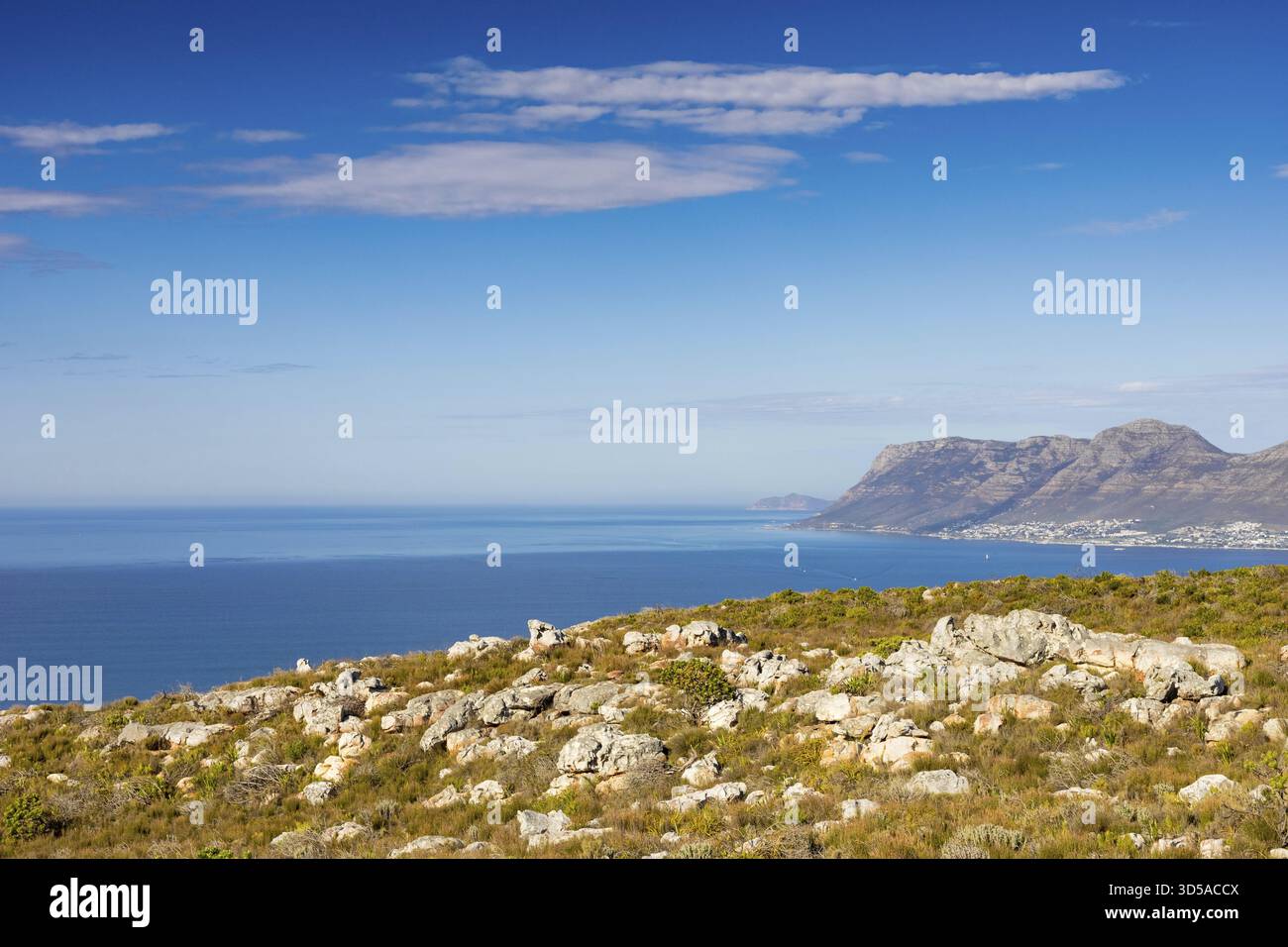 Küstenberglandschaft mit Fynbos Flora in Kapstadt Südafrika, Kapstadt, Südafrika Stockfoto