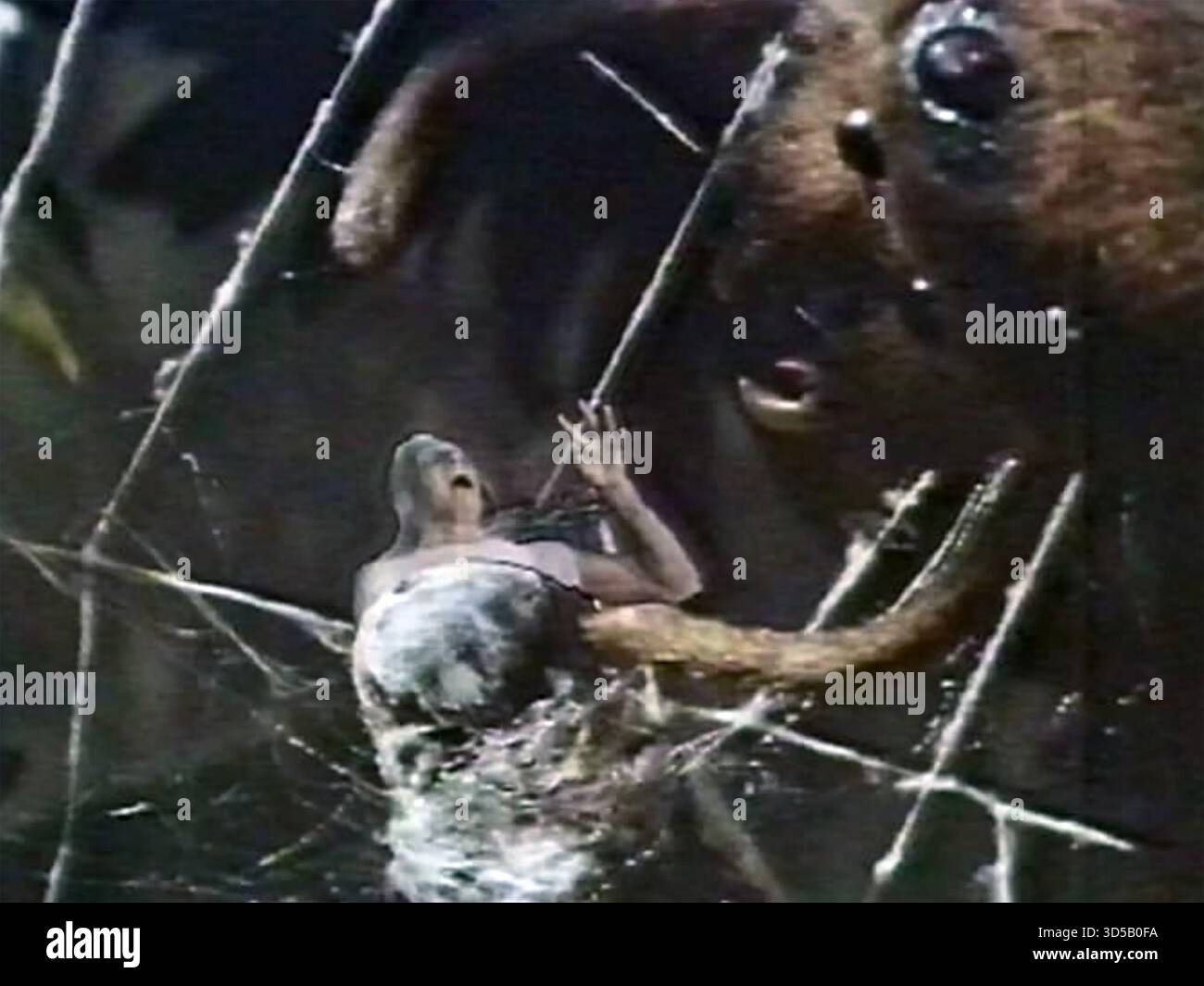 DER Film FLY 1958 20th Century Fox mit David Hedison als Andre in den Klauen einer Spinne. Stockfoto