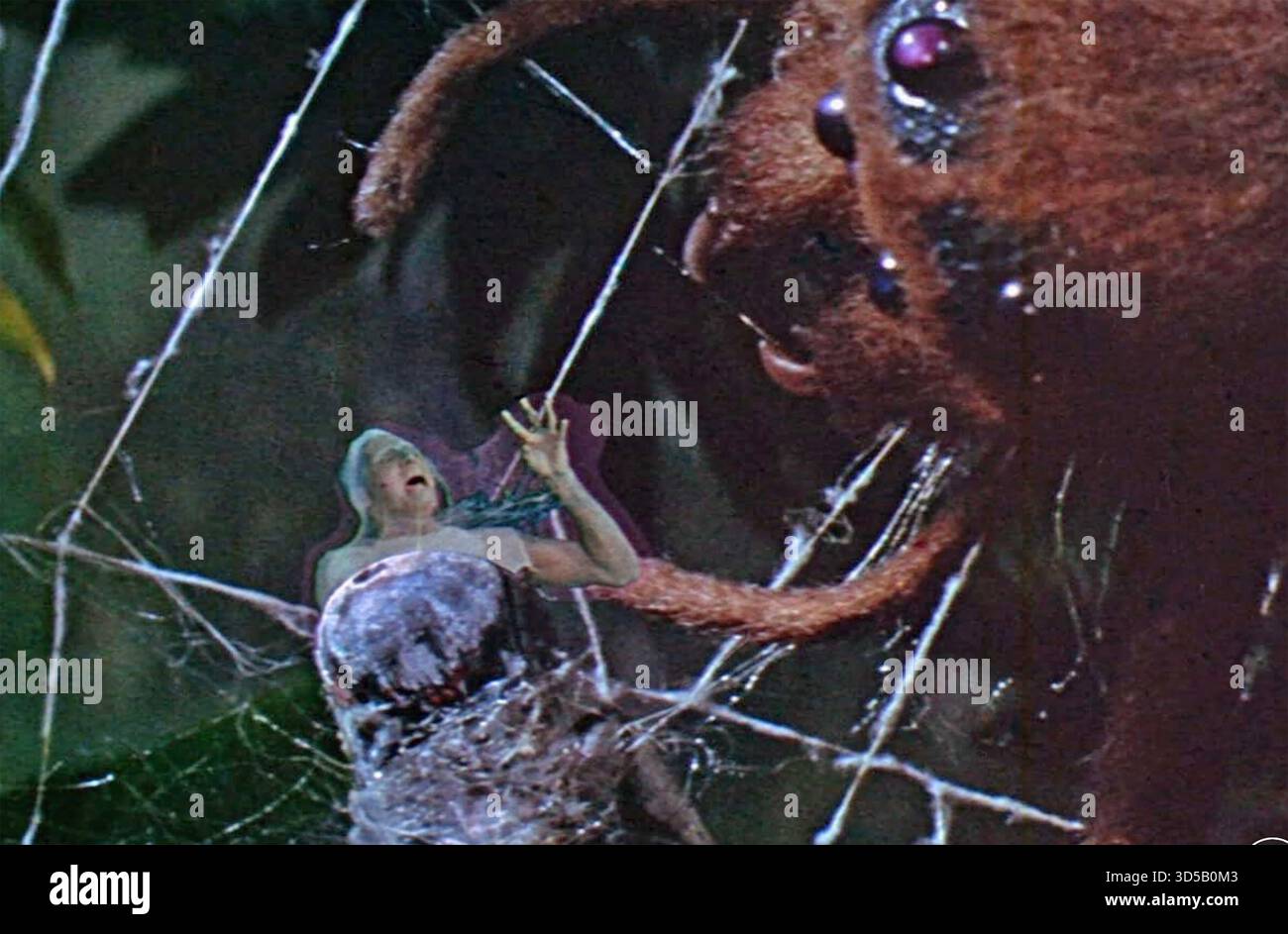 DER Film FLY 1958 20th Century Fox mit David Hedison als Andre Delambre in den Klauen einer Spinne Stockfoto