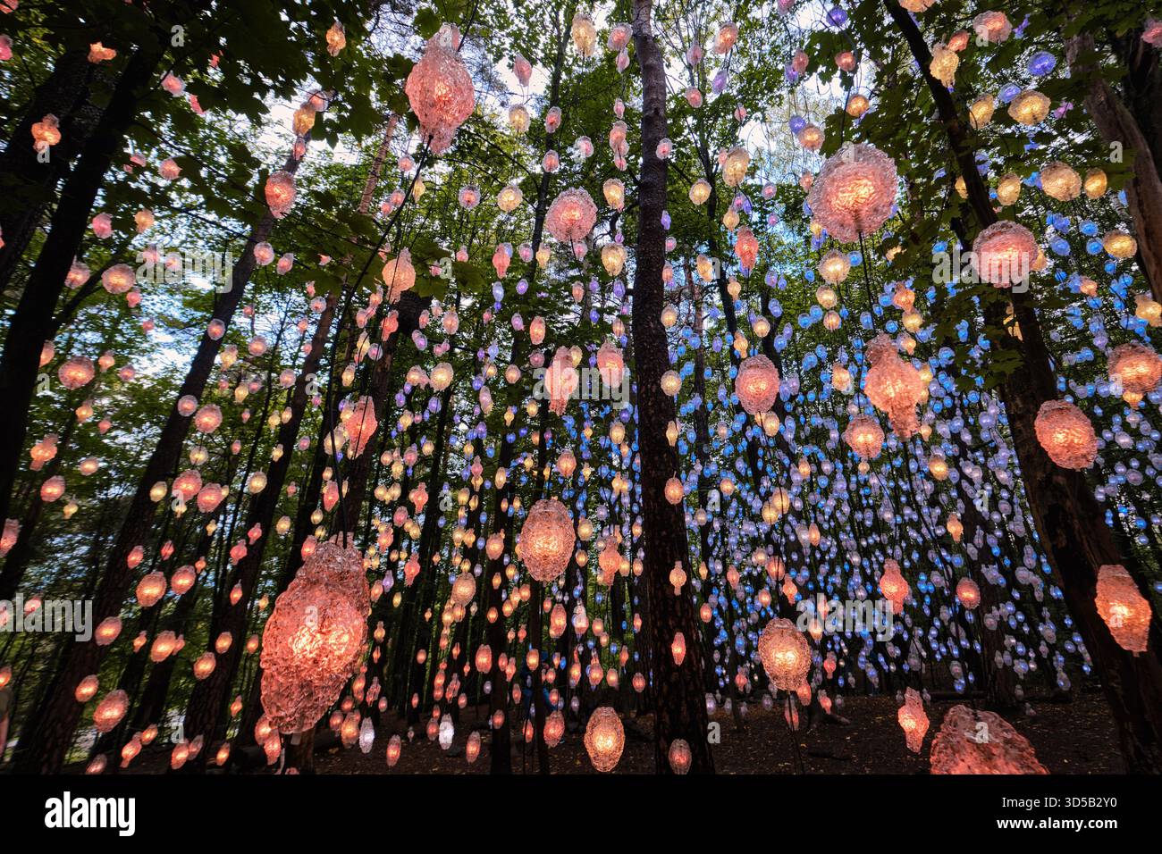 Oslo, Norwegen - 7. September 2025: Kunstinstallation in Ekebergparken, Lichter unter den Bäumen 'Nordic Pixel Forest' von Pipilotti Rist Stockfoto