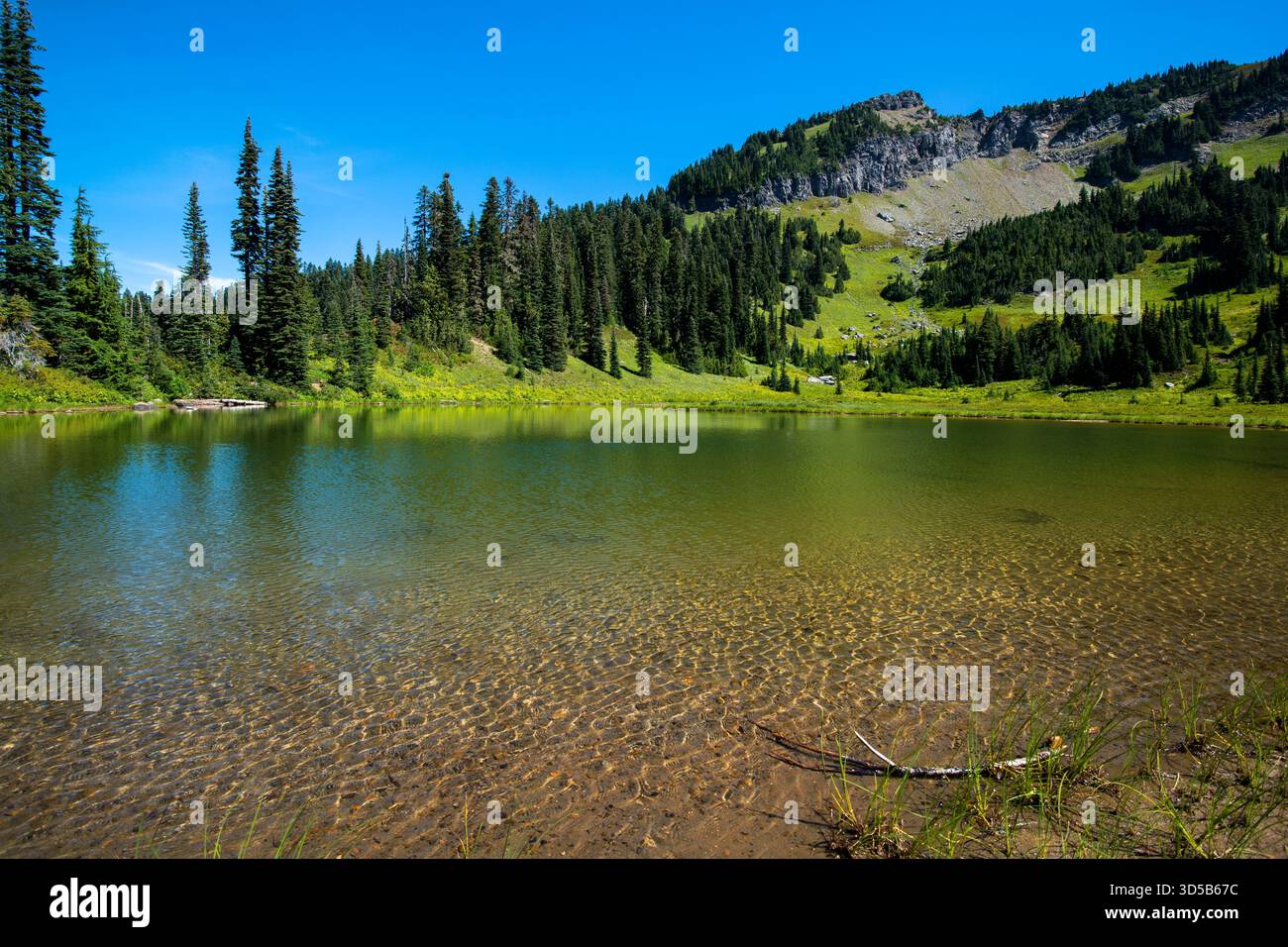 Little Tipsoo Lake, Naches Peak Loop Trail, Mount Rainer National Park, Washington Stockfoto