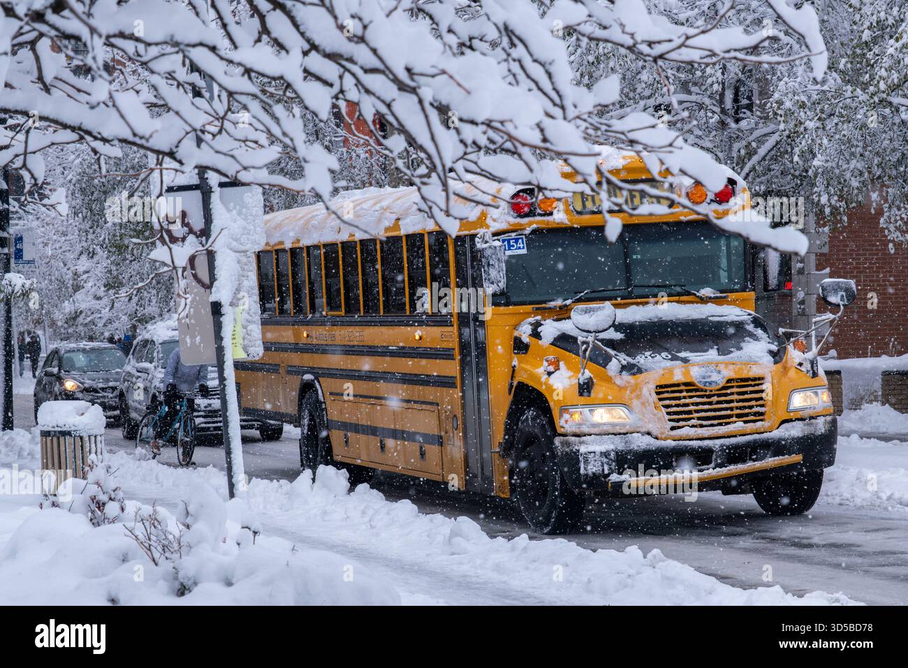 Montreal, CA - 11. November 2025: Ein gelber Schulbus fährt entlang der Laurier Street und navigiert durch den starken Schnee und die schwierigen Straßenverhältnisse während der C Stockfoto