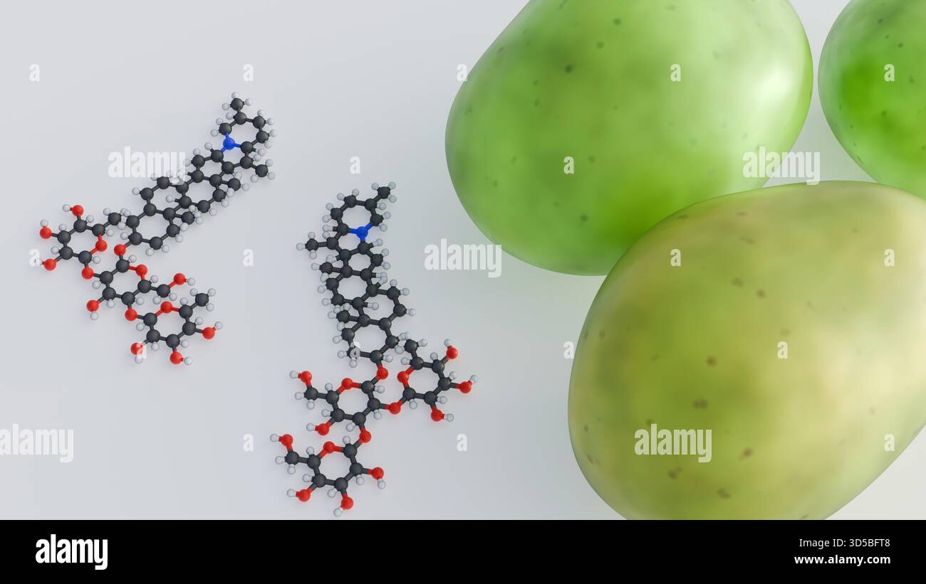 Ein 3D-Rendering grüner, unreifer Kartoffeln mit der komplexen Molekülstruktur von Solanin. Stockfoto