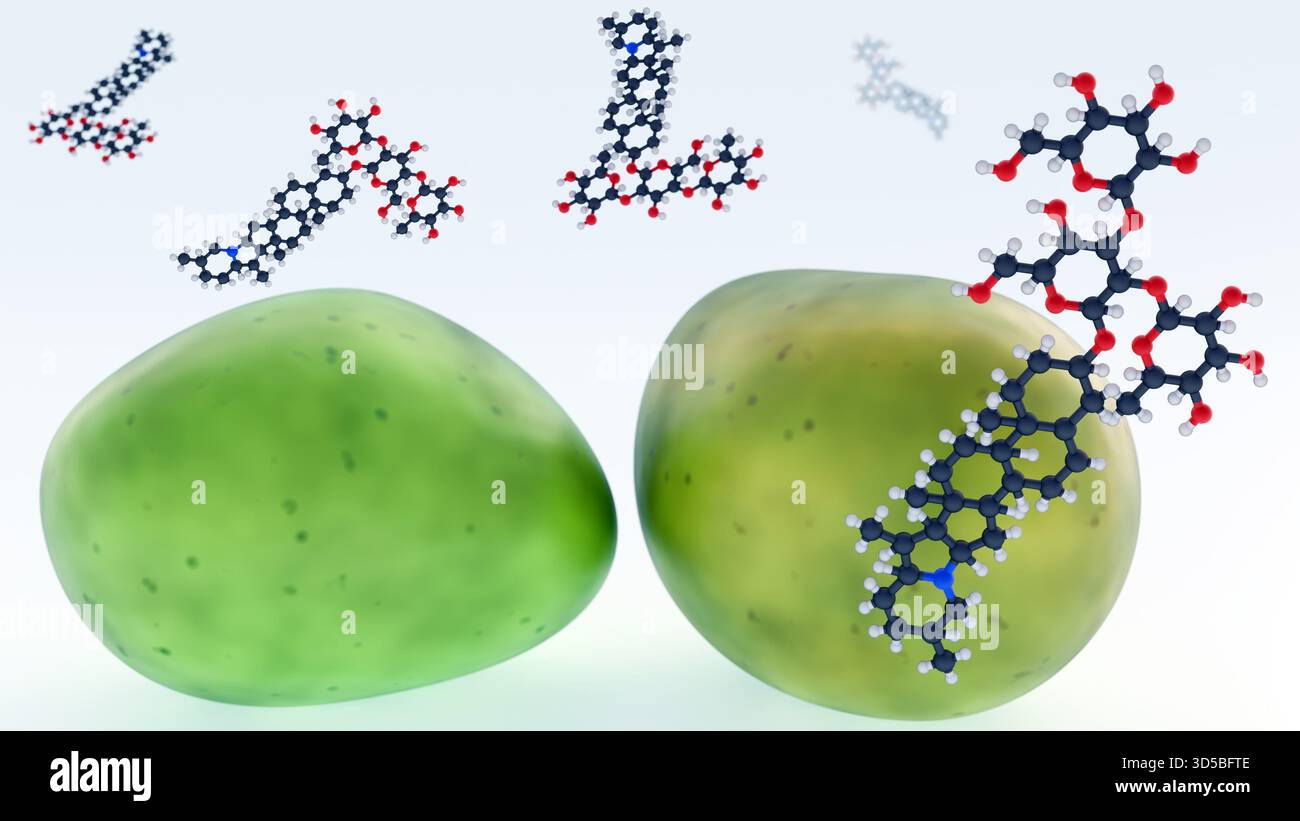 Ein 3D-Rendering grüner, unreifer Kartoffeln mit der komplexen Molekülstruktur von Solanin. Stockfoto