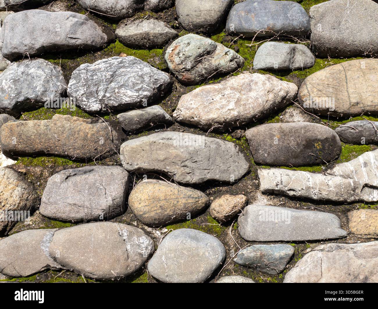 Nahaufnahme von verwitterten Flussfelsen in Mörtel mit hellgrünem Moos zwischen den Steinen, die ein natürliches geometrisches Muster bei warmem Tageslicht erzeugen. Stockfoto