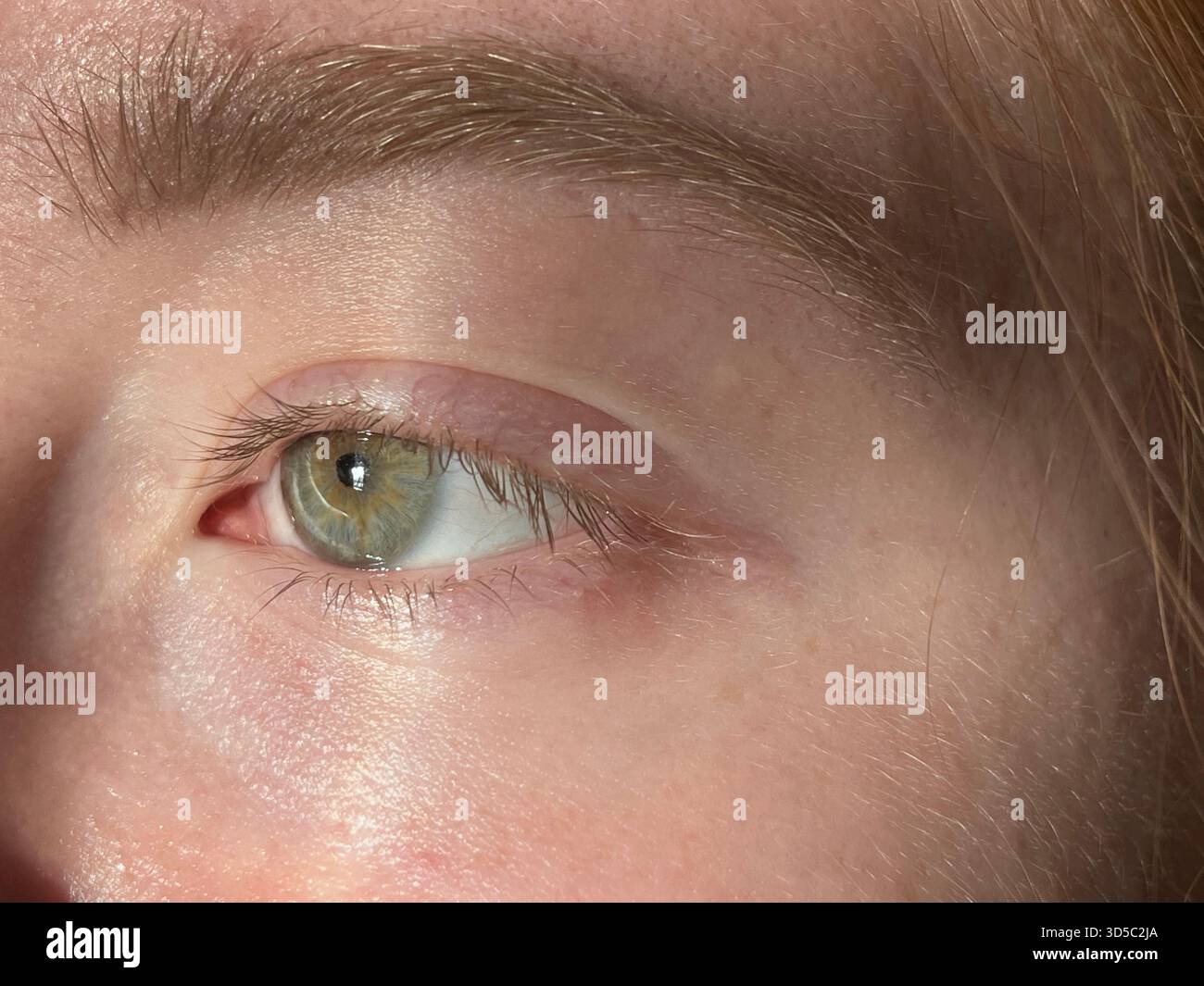 Detaillierte Makroaufnahme eines menschlichen Auges mit natürlichen Wimpern, Augenbrauenstruktur und weichen Hauttönen bei Tageslicht in Hull, England. - Smartphone-aufgenommenes Stockfoto