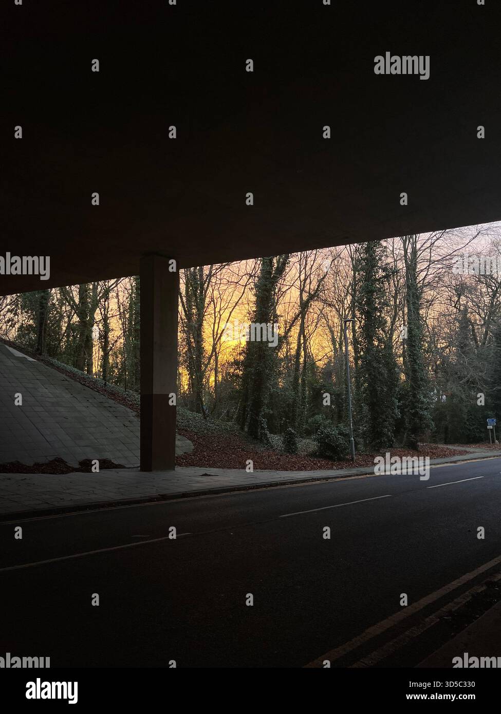 Ruhige Straße, die unter einer Betonbrücke mit warmem Abendsonnenlicht führt und den Herbstwald in Hull, England, beleuchtet. Atmosphärische Stadtlandschaft - Smartphone-aufgenommenes Stockfoto