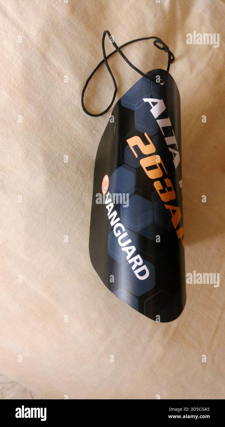 Avantgarde Alta Pro 263 AP Fotostativ. Stockfoto