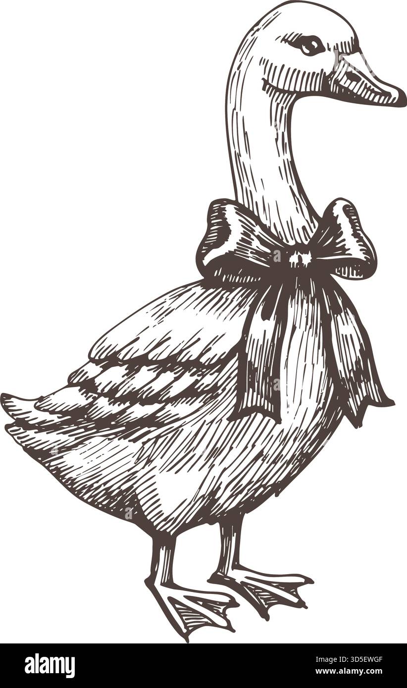 Vintage-Vektor-Illustration einer Gans mit einer Schleife, gezeichnet in detailliertem Gravurstil. Perfekt für Bauernhaus-Dekor, cottagecore-Drucke, Landküche Stock Vektor
