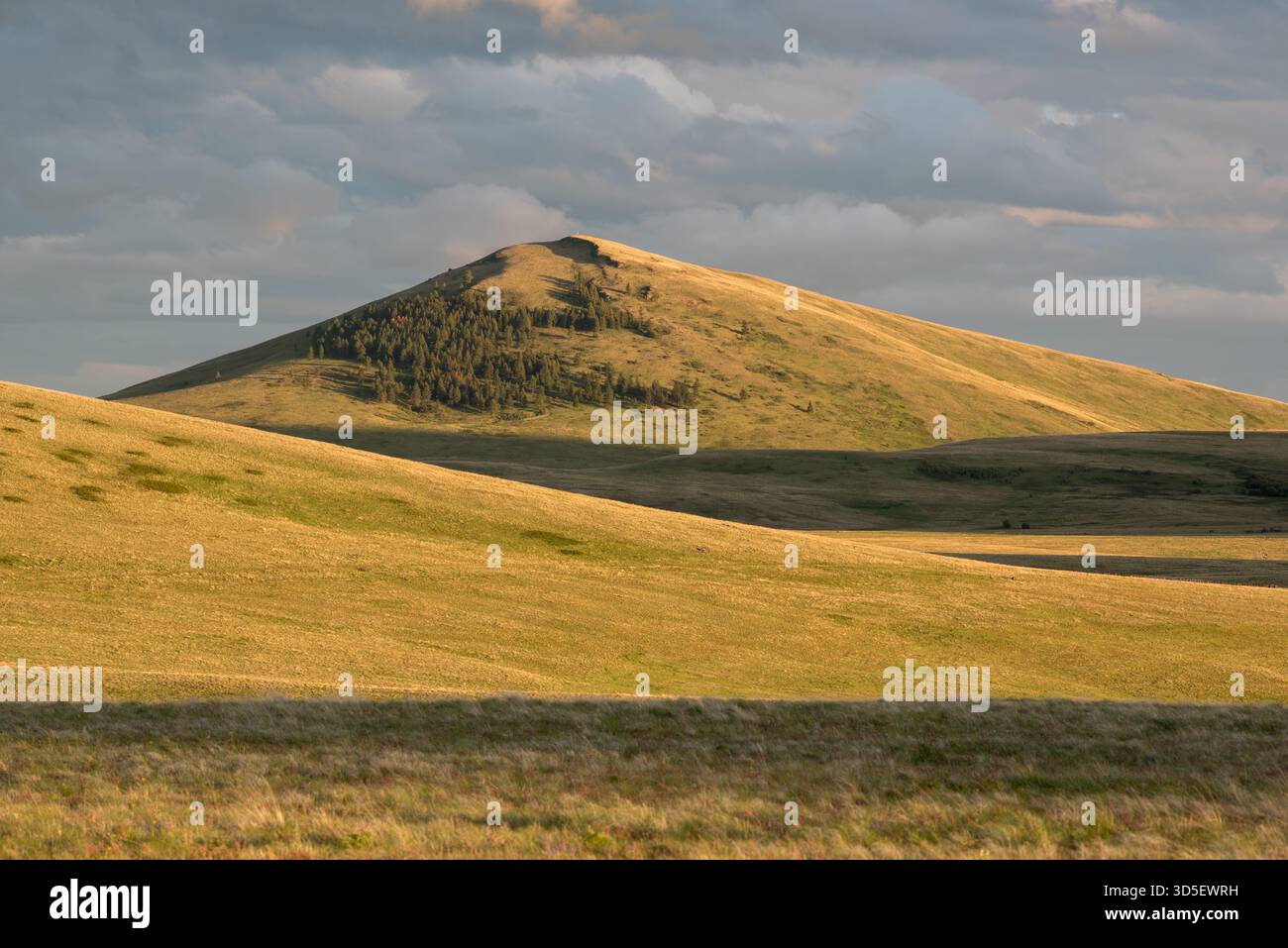 Eines der Findlay Buttes im Naturschutzgebiet Zumwalt Prairie Preserve, Oregon. Stockfoto