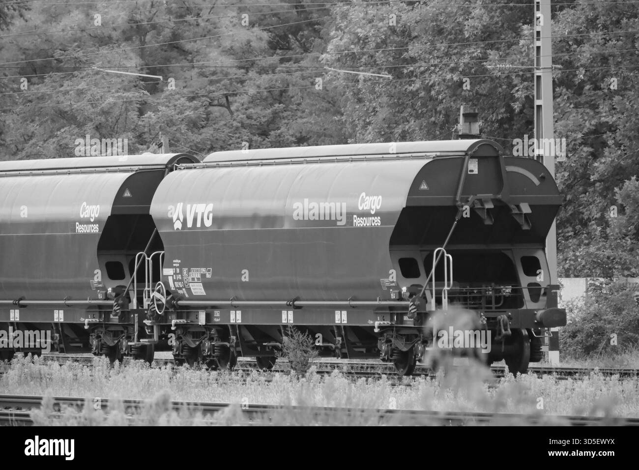 Schwarzweiß-Foto einer Linie von Getreidewagen auf Gleisen in Dorog, Ungarn, Industrieszene Stockfoto