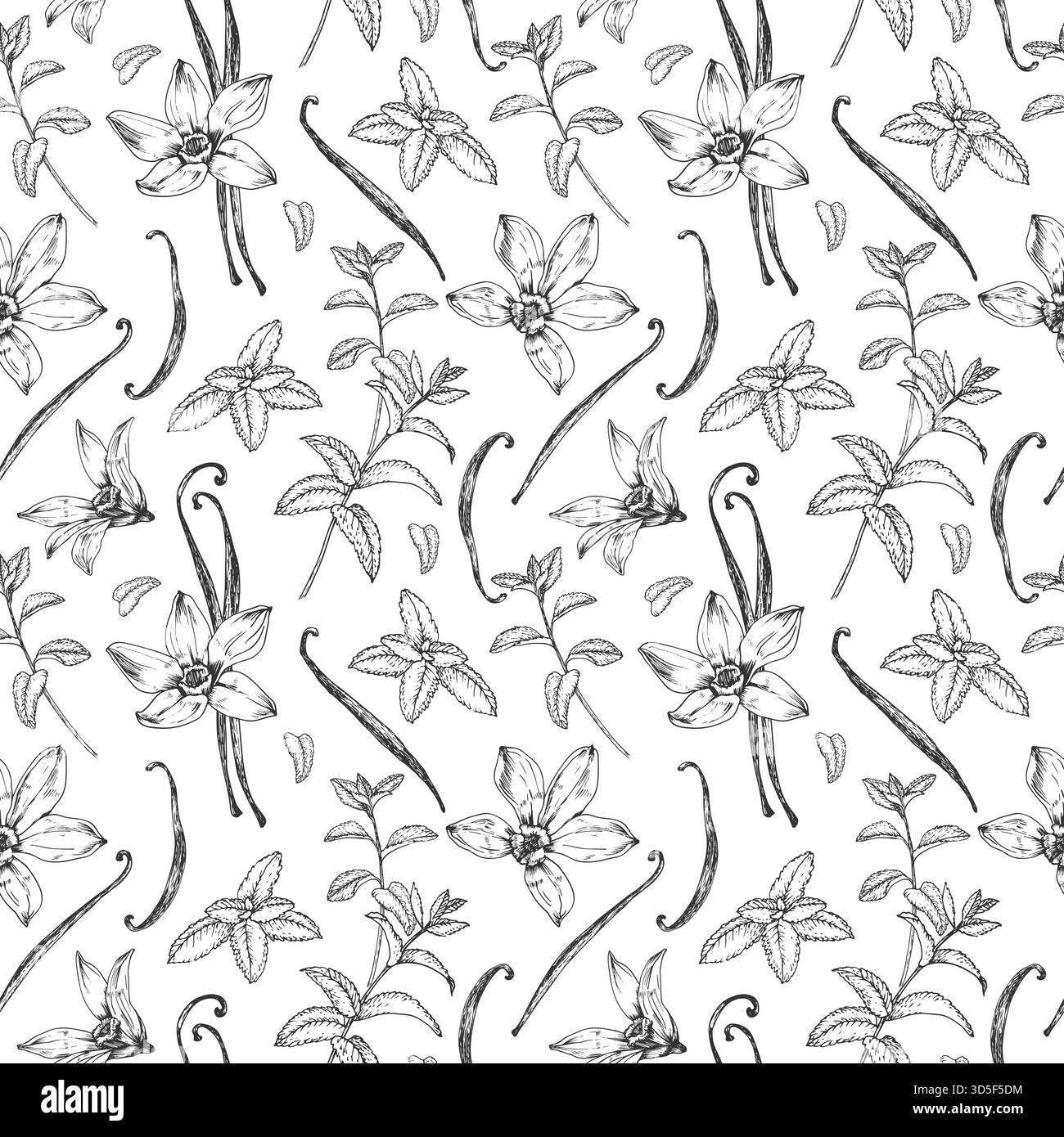 Vanilla und Mint von Hand gezeichnetes nahtloses Vektor-Muster. Schwarz-weiße Blumen, Blätter, Schoten Stock Vektor