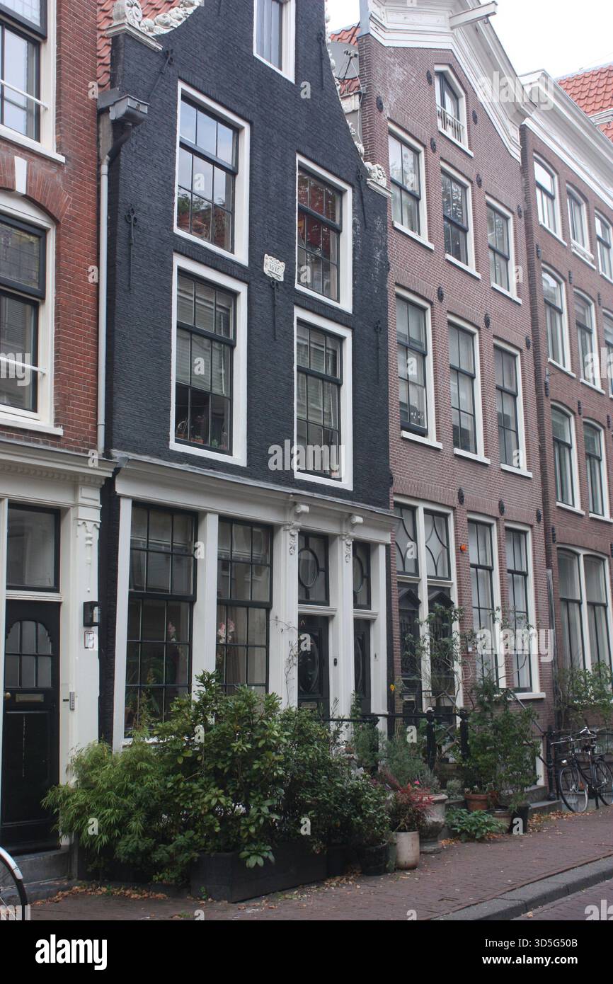 Gebäude entlang der Buiten Brouwers Straat in Amsterdam, Niederlande Stockfoto