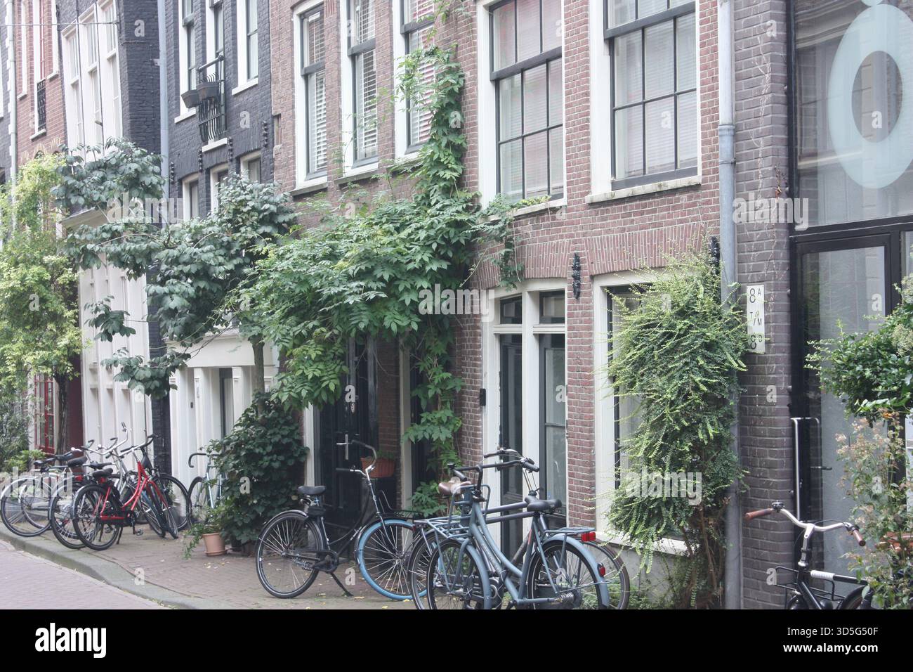 Häuser an der Binnen Straat in Amsterdam, Niederlande Stockfoto