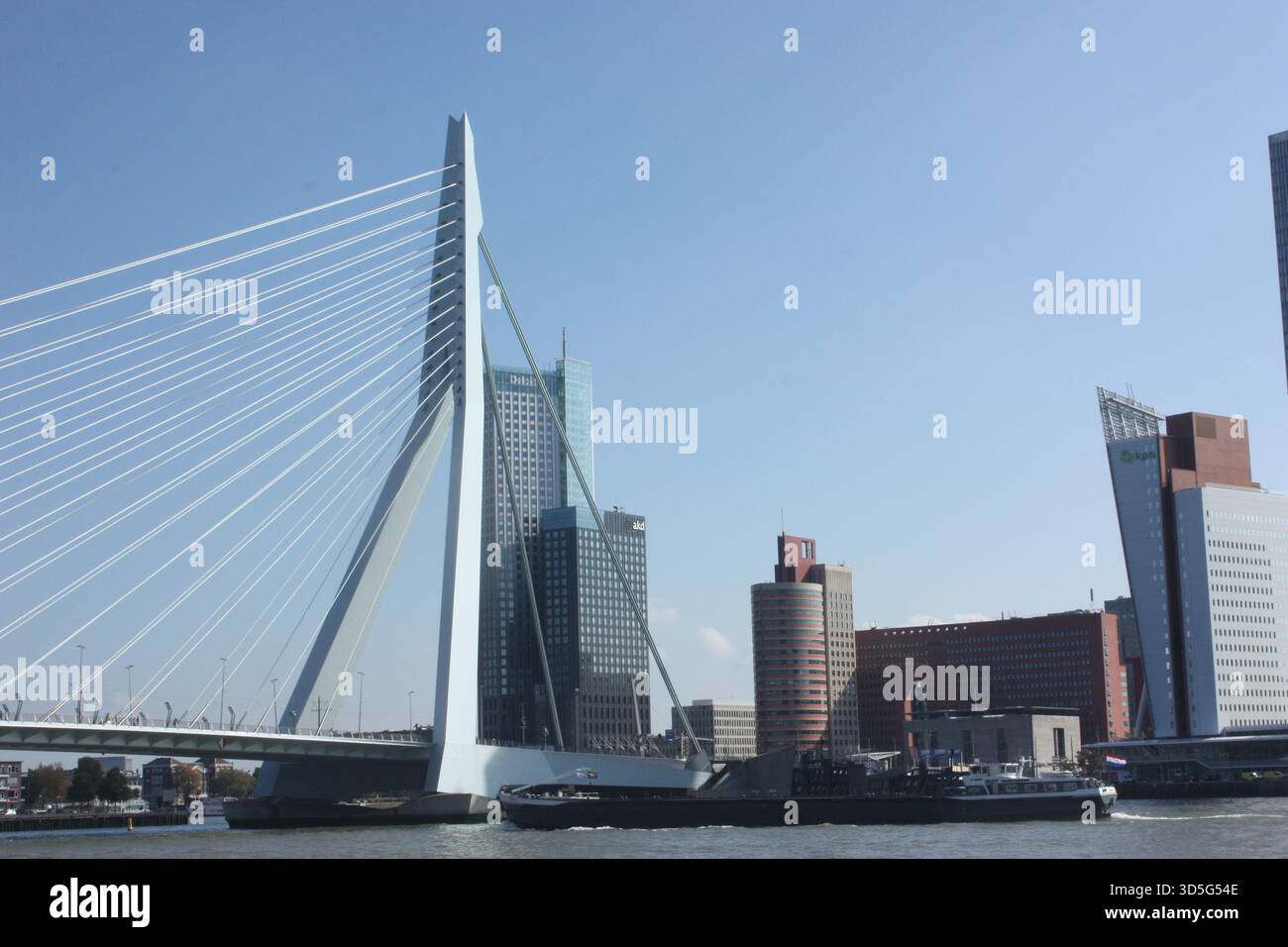 Die Erasmus-Brücke über den Fluss Nieuwe Maas in Rotterdam, Niederlande Stockfoto