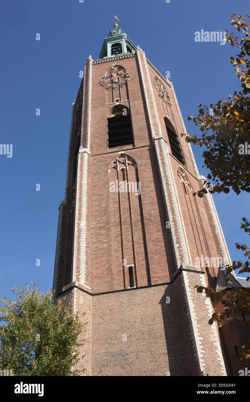 Die Grote Kerk in den Haag, Niederlande Stockfoto