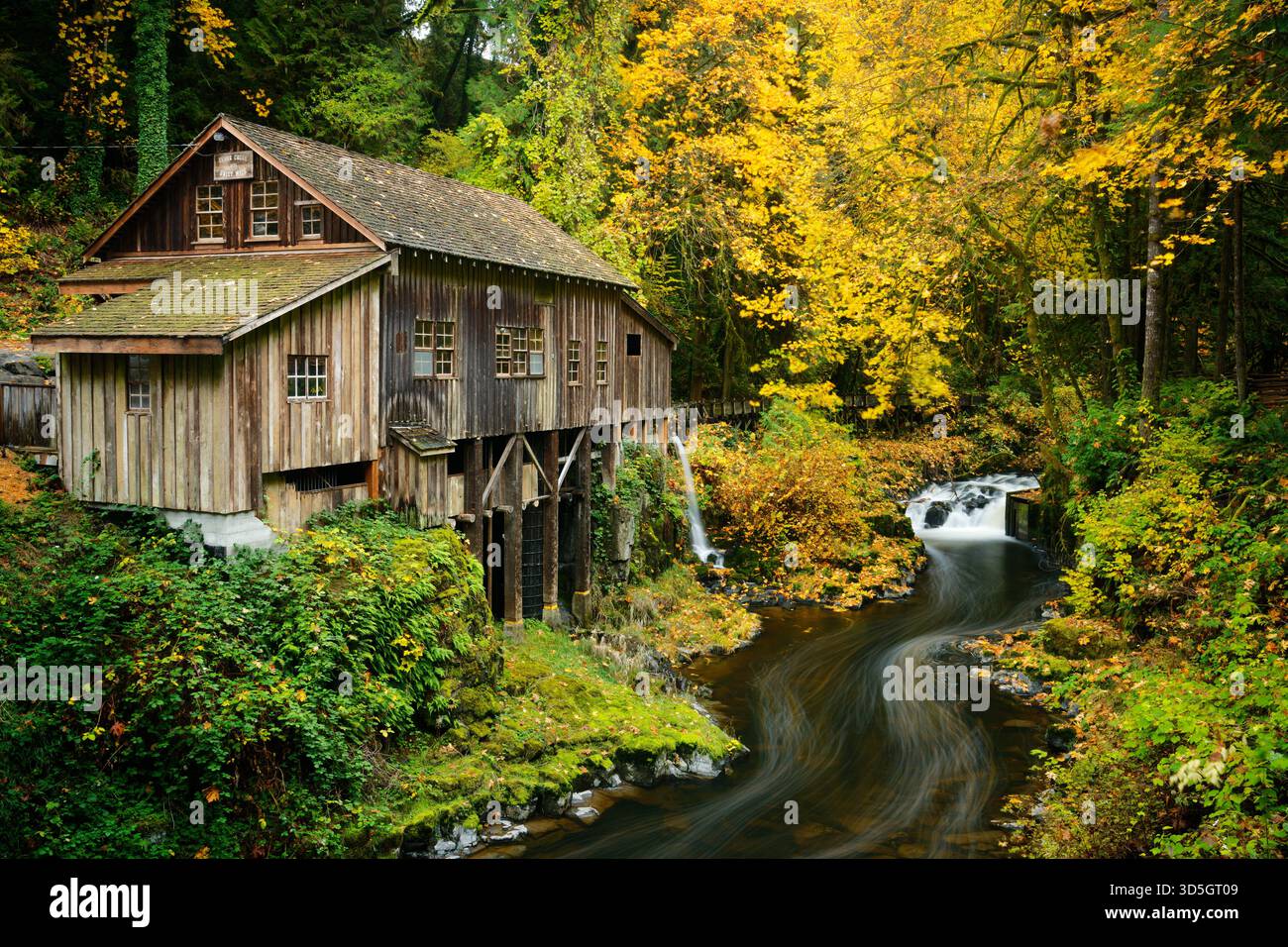 Cedar Creek Grist Mill im Herbst, Woodland, Washington, USA Stockfoto