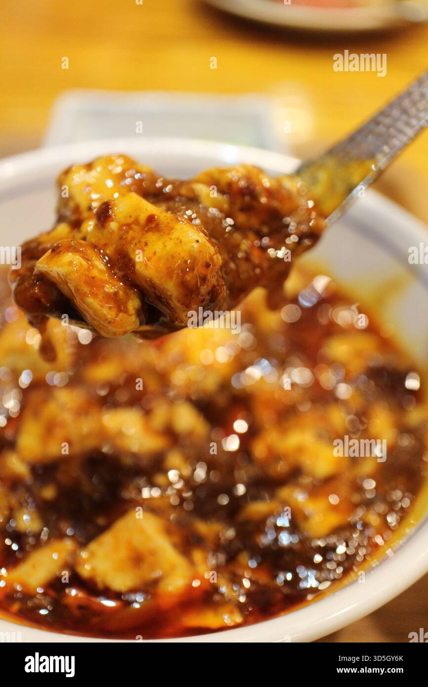 Sichuan Küche (chinesische Küche): mapo Tofu Stockfoto