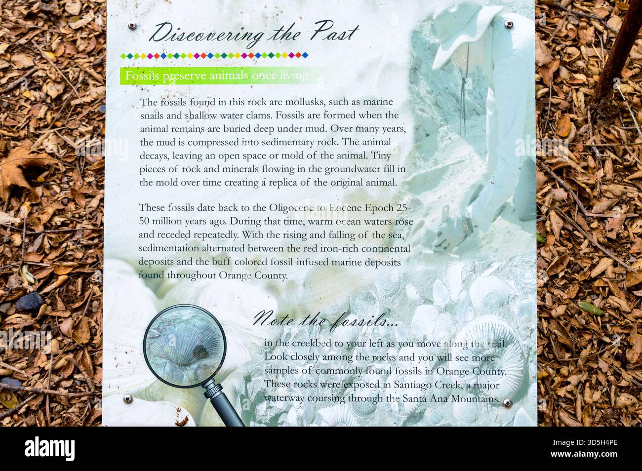 Informationsschild über Fossilienbildung und Geschichte im Tucker Wildlife Sanctuary, Santiago, Orange County, auf einem Naturlehrpfad in Kalifornien. Stockfoto