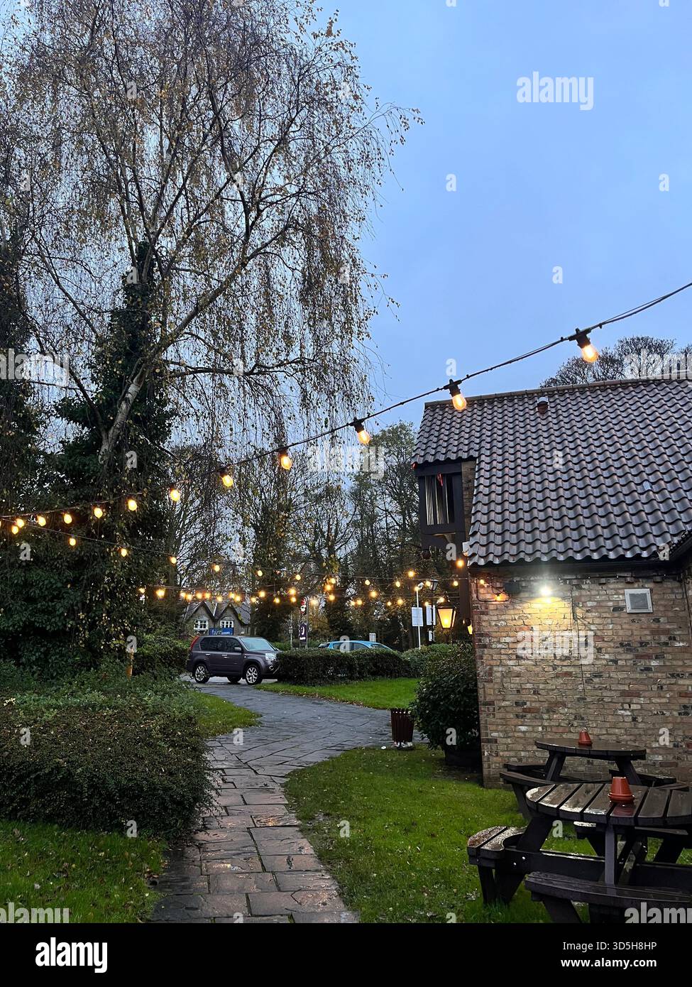 Charmante Wohnstraße mit warmen Lichterketten und traditionellen Häusern in Hull, England. Gemütliche abendliche Atmosphäre mit Grün Stockfoto