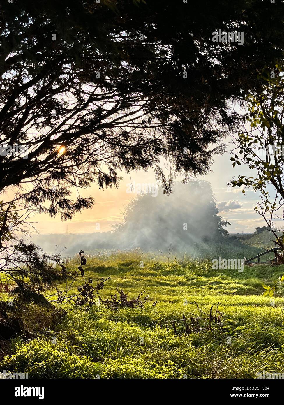 Weicher Morgennebel über einer grünen Wiese mit Bäumen und aufsteigendem Sonnenlicht. Friedliche ländliche Landschaft in der Nähe von Hull, England, mit natürlicher Schönheit und Ruhe. - Smartphone-aufgenommenes Stockfoto