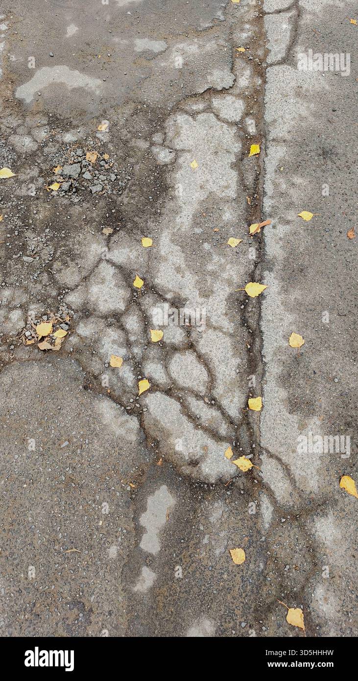 Das Bild zeigt eine Nahaufnahme von beschädigtem Asphalt mit Rissen und gelben Blättern, die über die Oberfläche verstreut sind Stockfoto