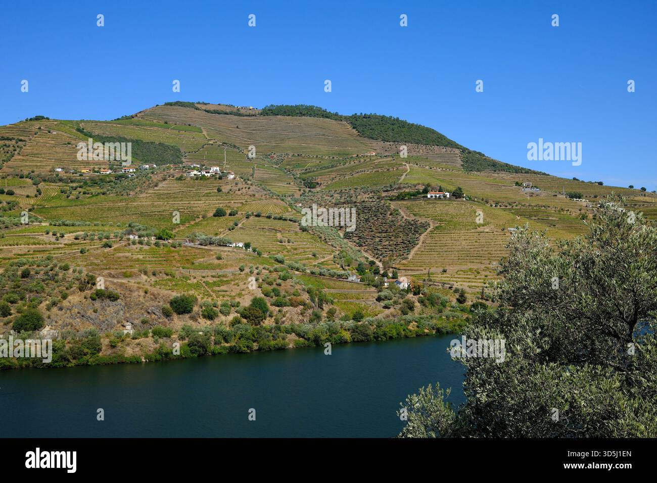Blick auf die Hügel und Weinberge im Douro-Tal, Portugal Stockfoto