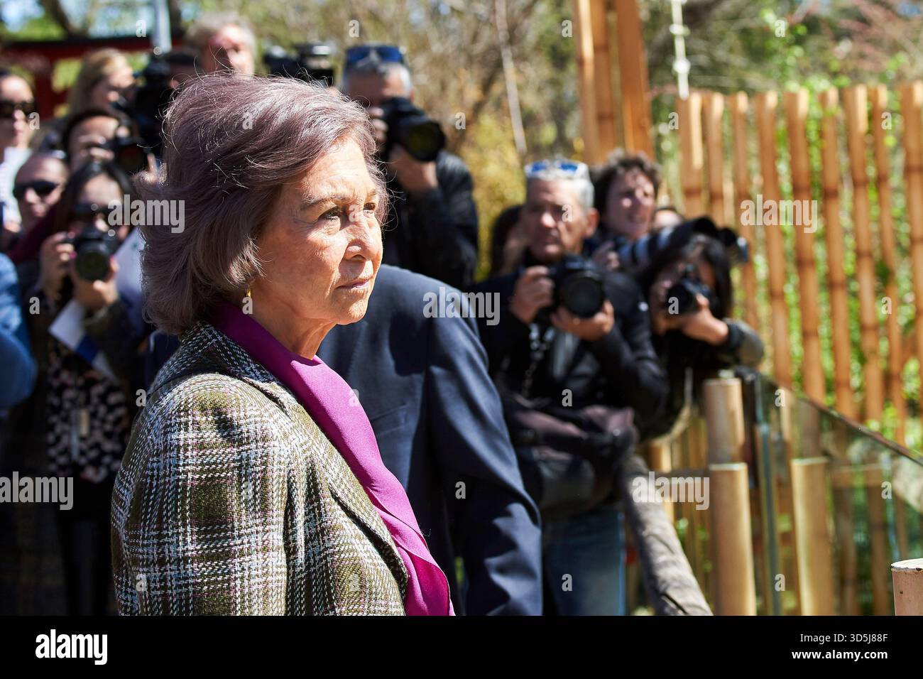 Königin Sofia von Spanien besucht Panda Chulina im Zoo von Madrid am 5. April 2017 in Madrid. Stockfoto