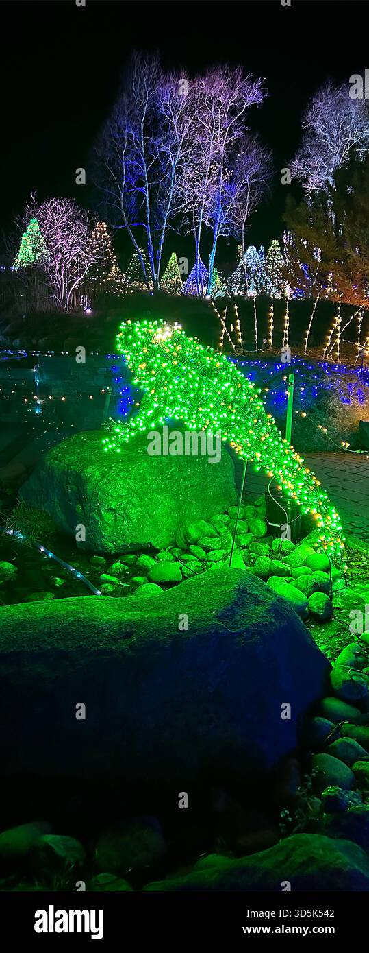 Dieses Foto, das 2025 bei der Gardens Aglow Holiday Light Show in den Coastal Maine Botanical Gardens in Boothbay aufgenommen wurde, zeigt eine der kunstvollen Kreationen – dieses hier ist ein Frosch. Stockfoto