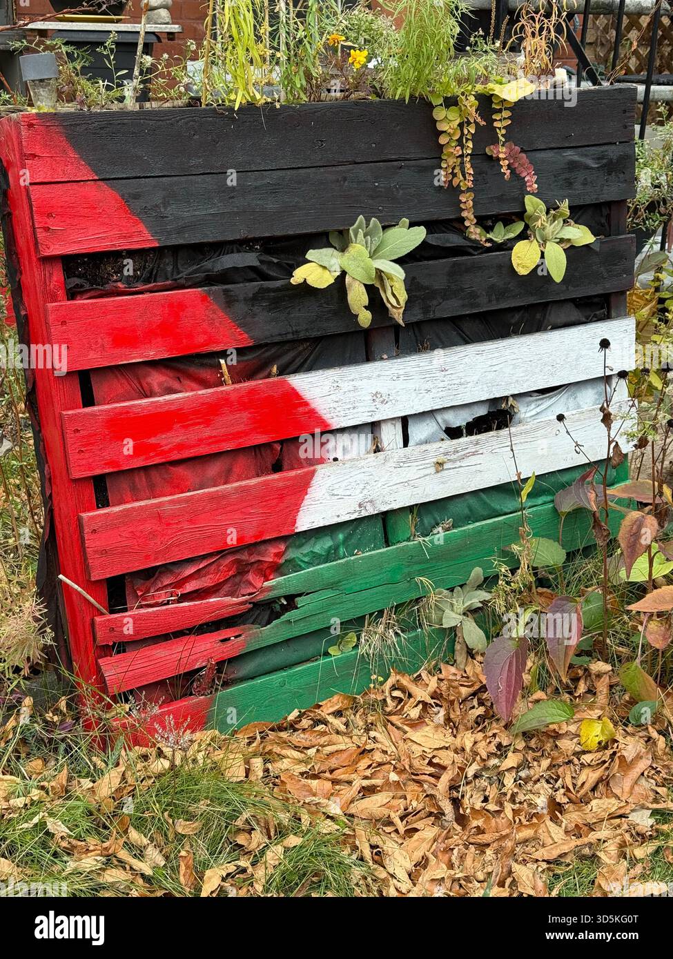 Städtische Gartenarbeit mit Holzbrett in den Farben einer palästinensischen Flagge, Montreal Kanada - Smartphone-aufgenommenes Stockfoto