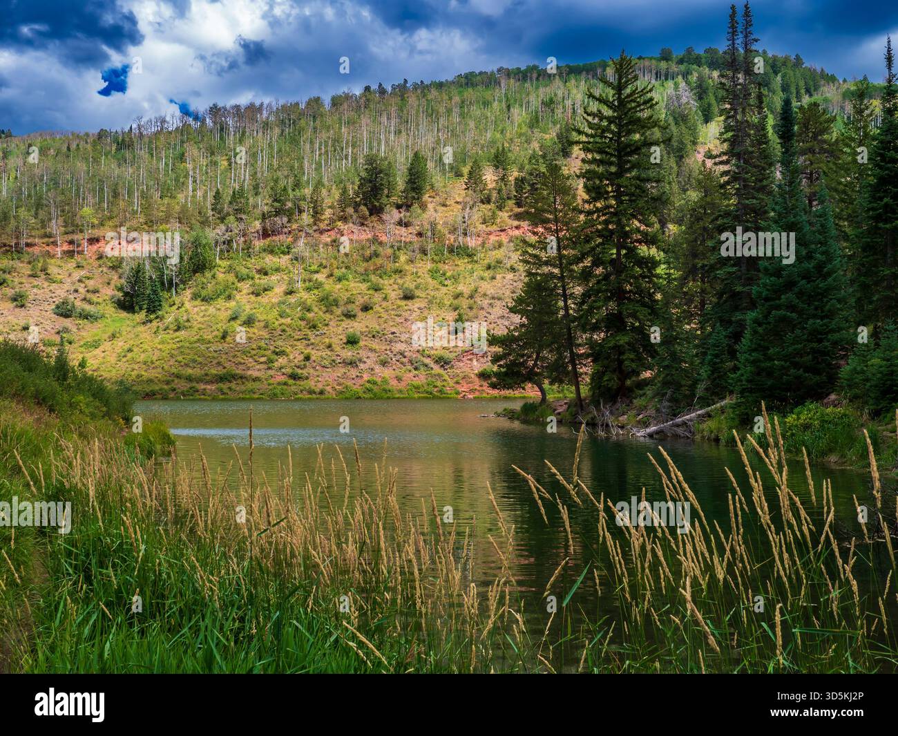 Lake, Sylvan Lake State Park, Eagle, Colorado. Stockfoto
