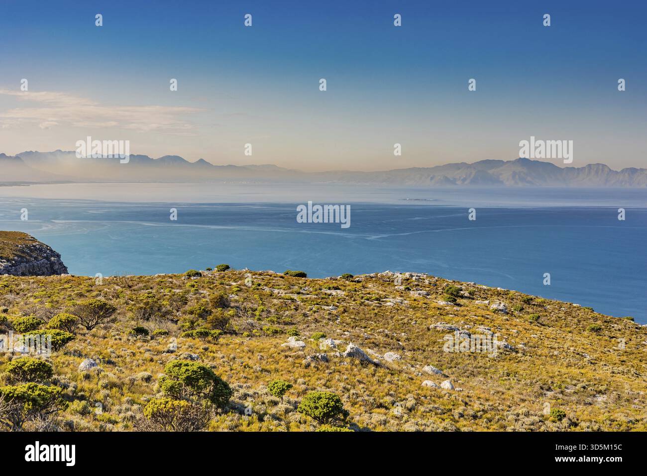 Küstenberglandschaft mit Fynbos Flora in Kapstadt Südafrika, Kapstadt, Südafrika Stockfoto